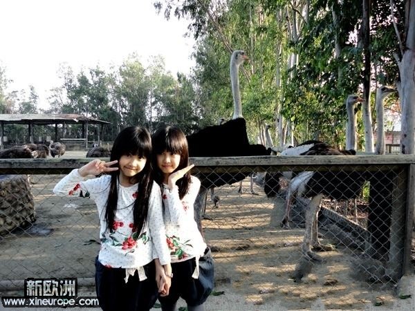 作文人间自有真情在500字-作文题目 人间自有