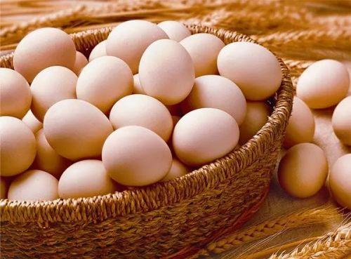 广州鸡蛋批发价格