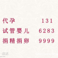 杭州代孕13162839999