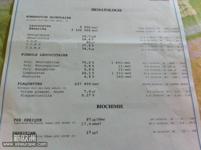 photo.JPG