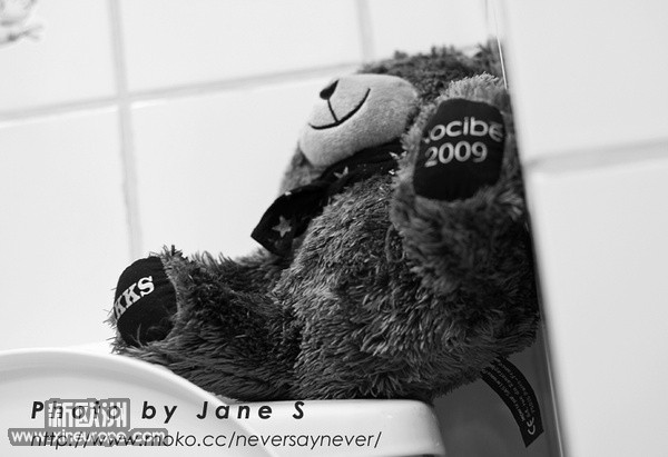 p550544175.jpg