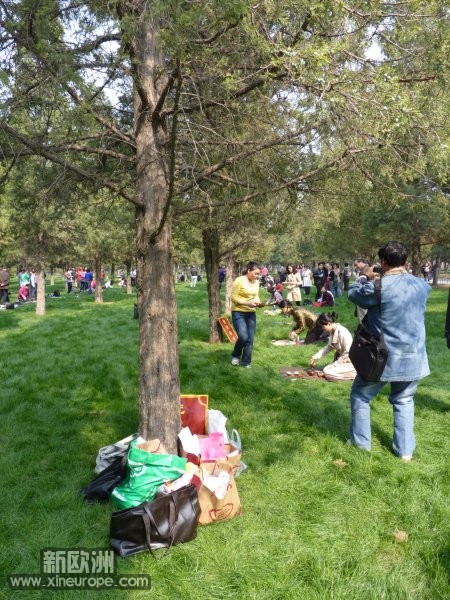 P1000399.jpg
