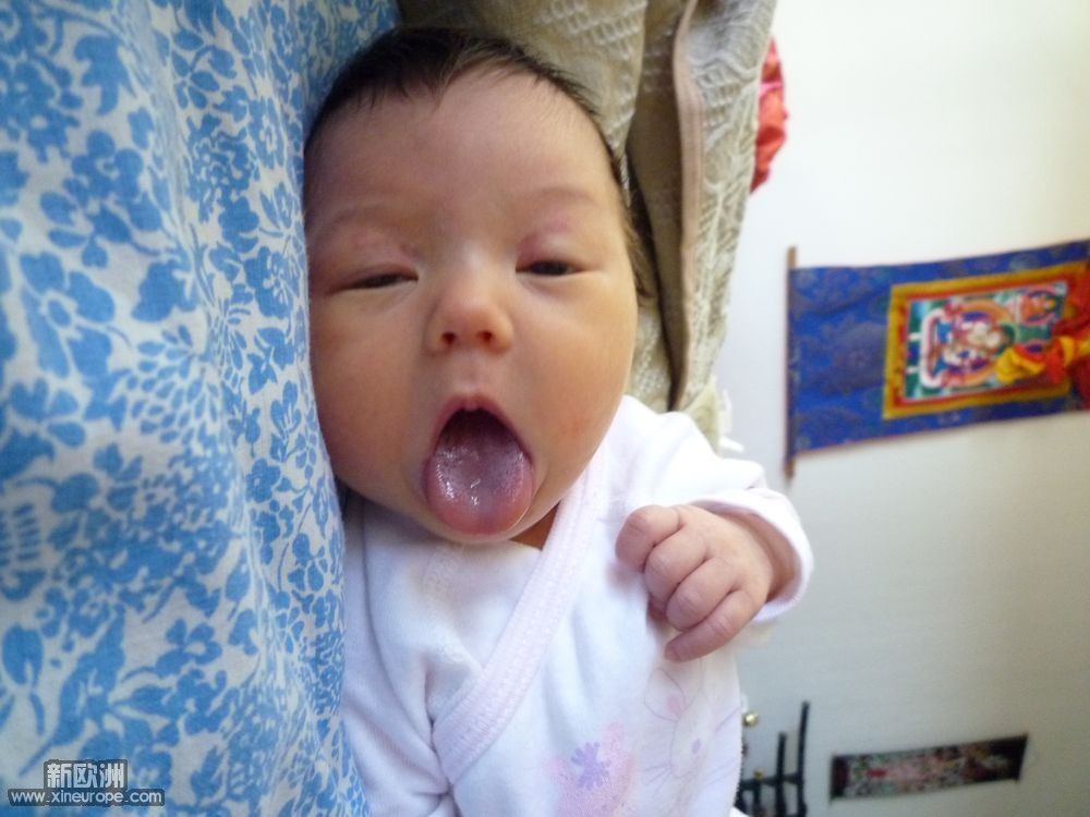 P1020116.JPG