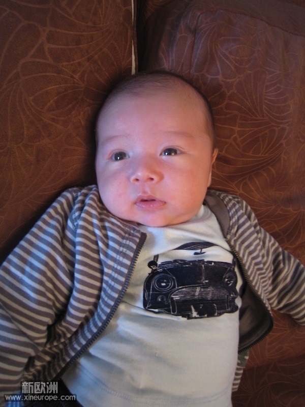 IMG_1265.jpg