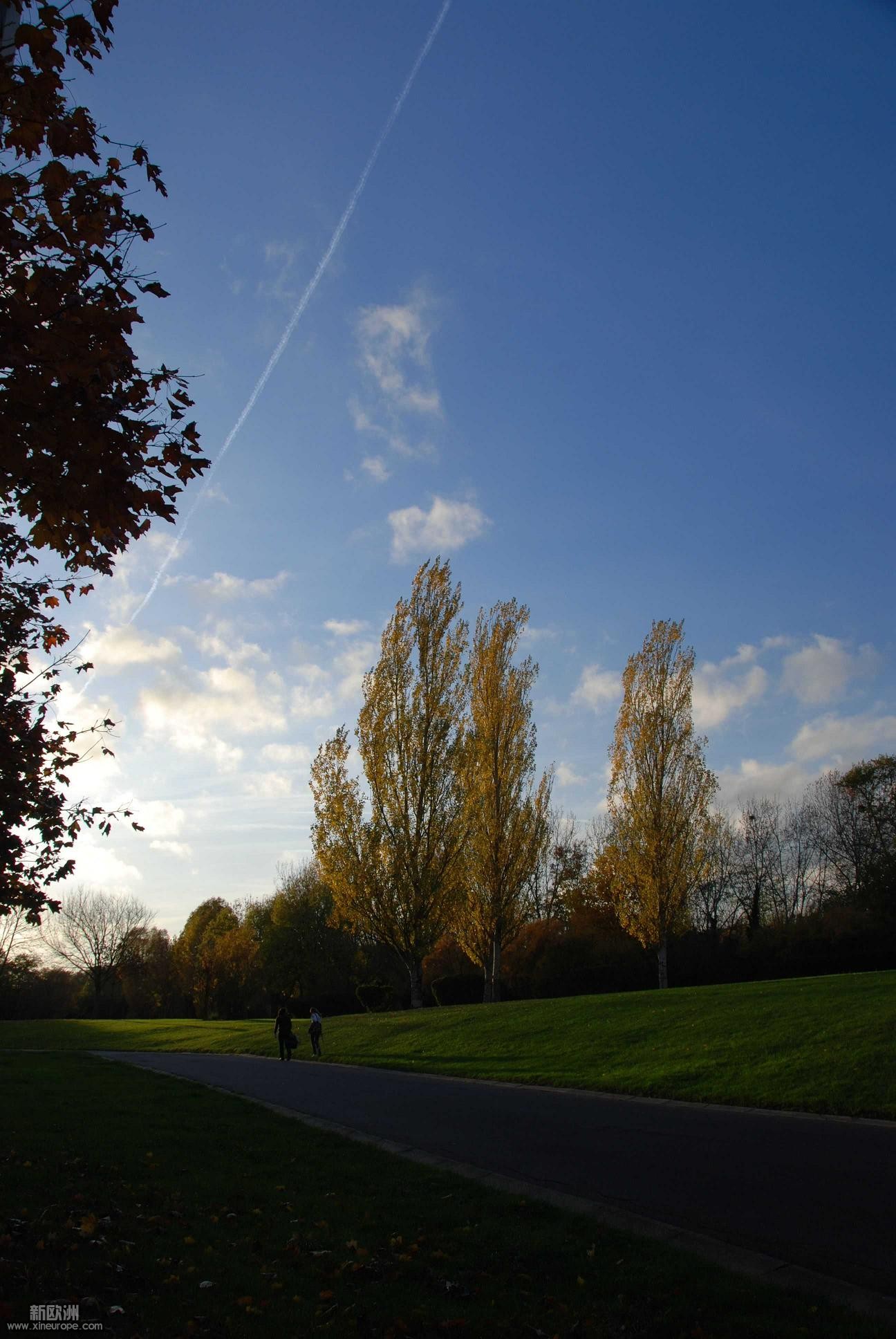 DSC_0224.jpg