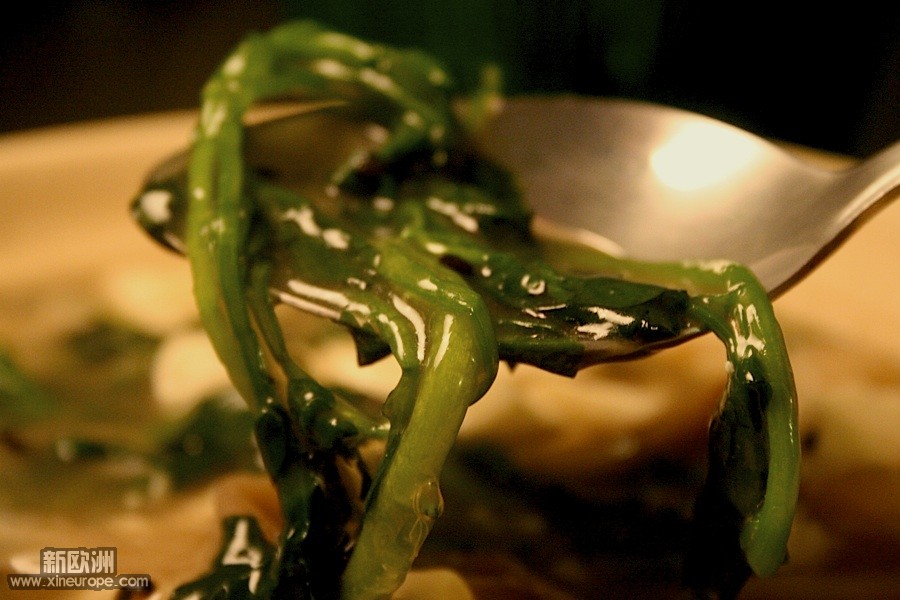 荠菜.jpg