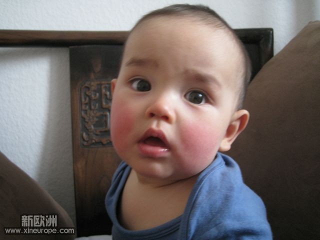 呆呆的