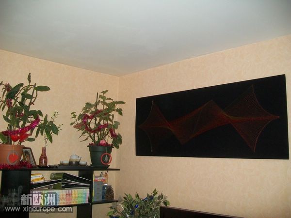nEO_IMG_100_2395 - Copie.jpg