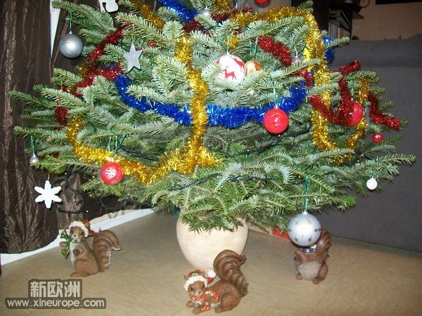 nEO_IMG_100_2403 - Copie.jpg