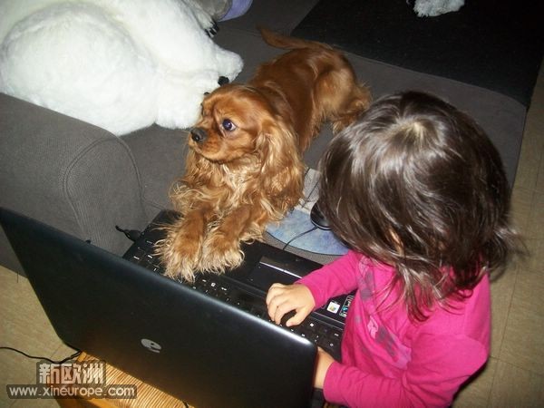 nEO_IMG_100_2447.jpg