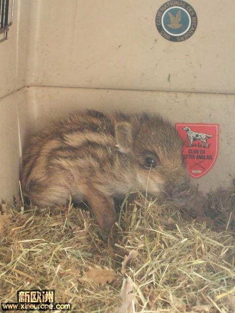 DSCF2907.JPG