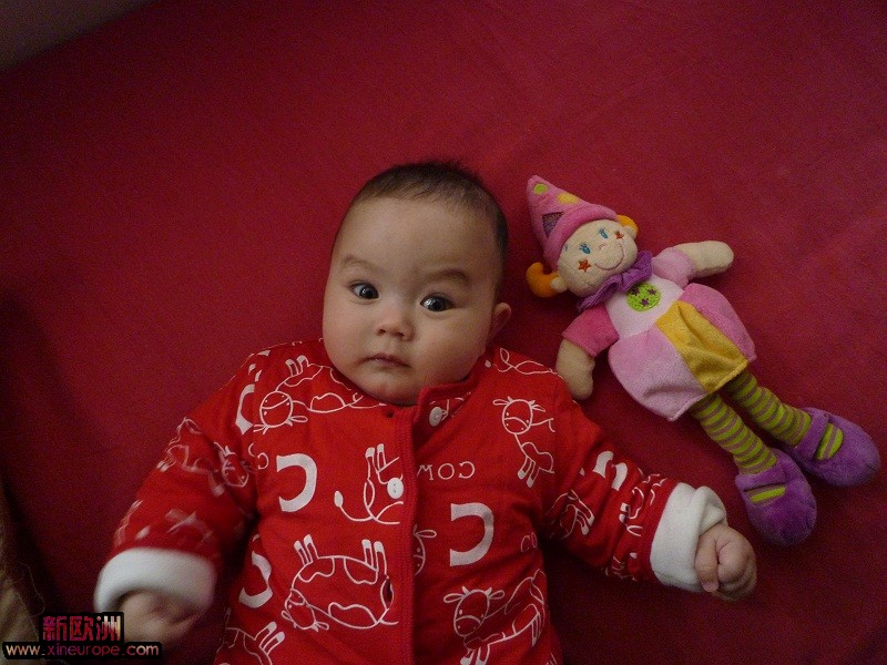 P1030068.JPG