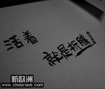 p_large_7rcS_7cd100007dad5c42.jpg