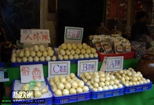 2010072713434642.jpg