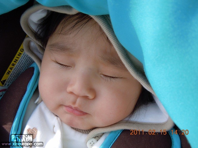 DSCN1831.jpg