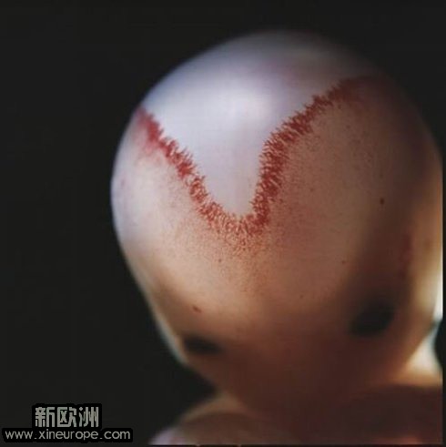 宝宝9周.jpg
