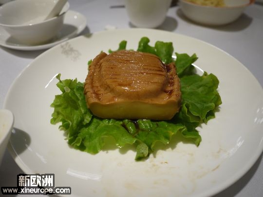 P1000840.jpg