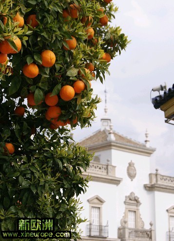 sevilla