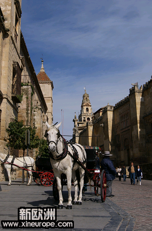 cordoba