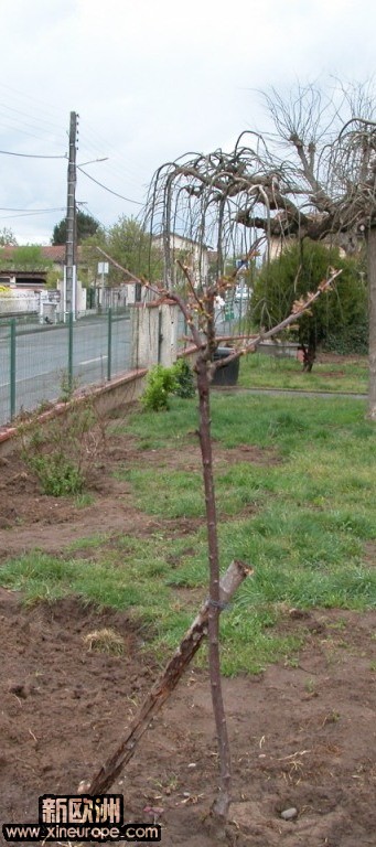 DSCN0021.JPG