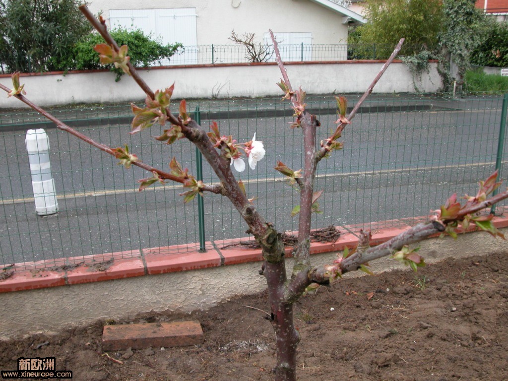DSCN0022.JPG