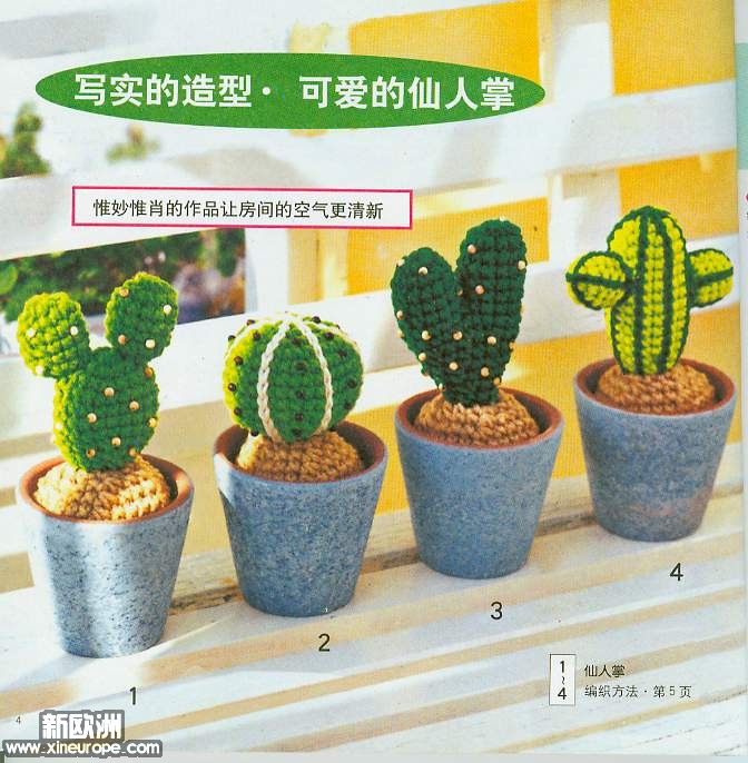 仙人掌01.jpg