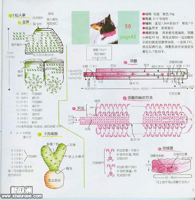仙人掌04.jpg