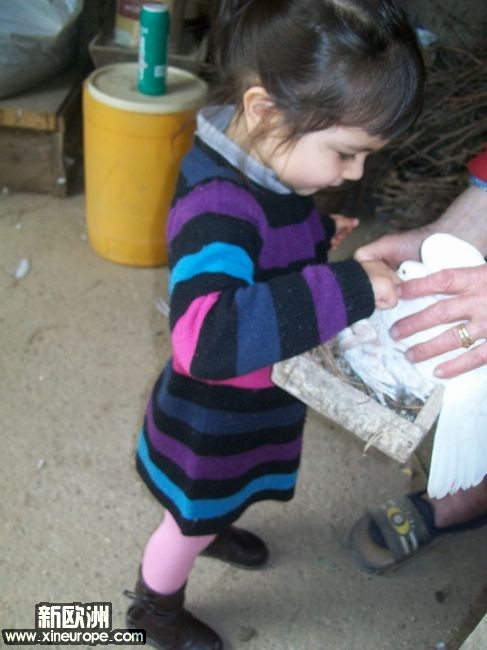 nEO_IMG_100_2569.jpg