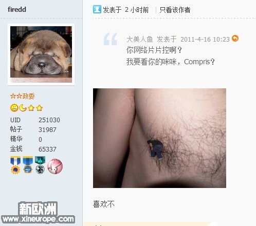 大狗吃奶图