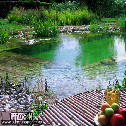 piscine bio.jpg