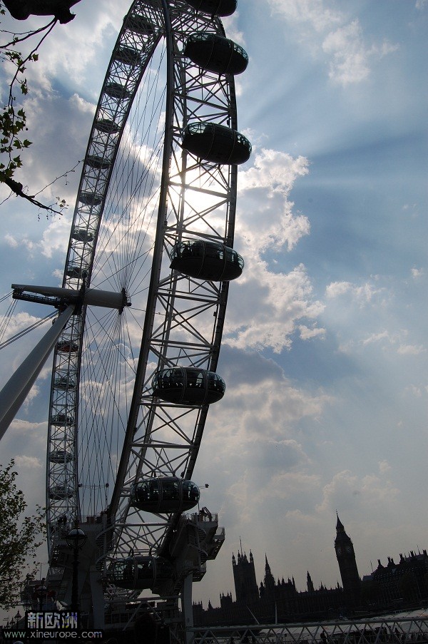 DSC_0347.JPG