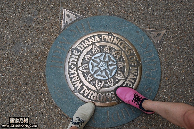DSC_0403.JPG