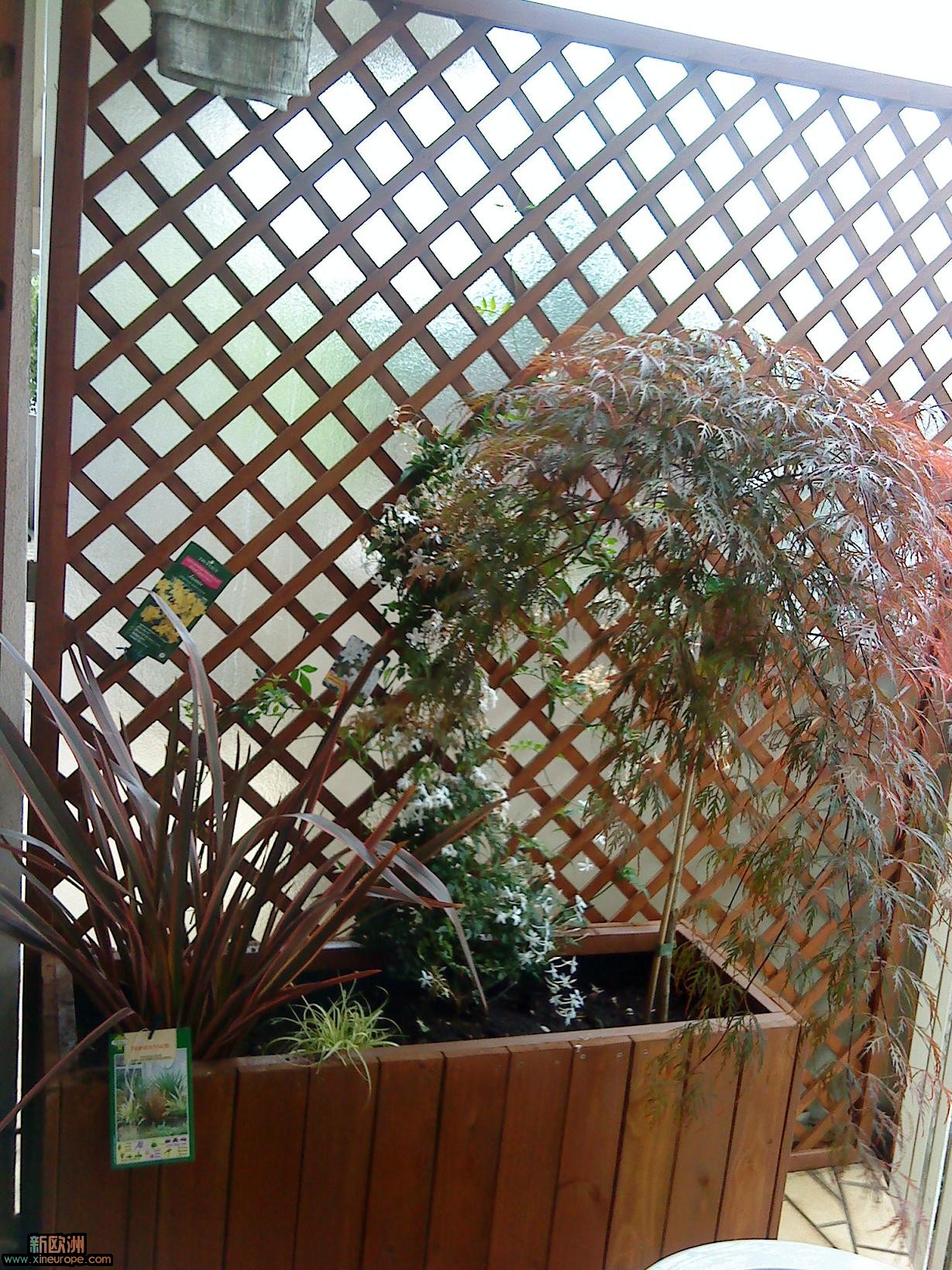 DSC00065.JPG