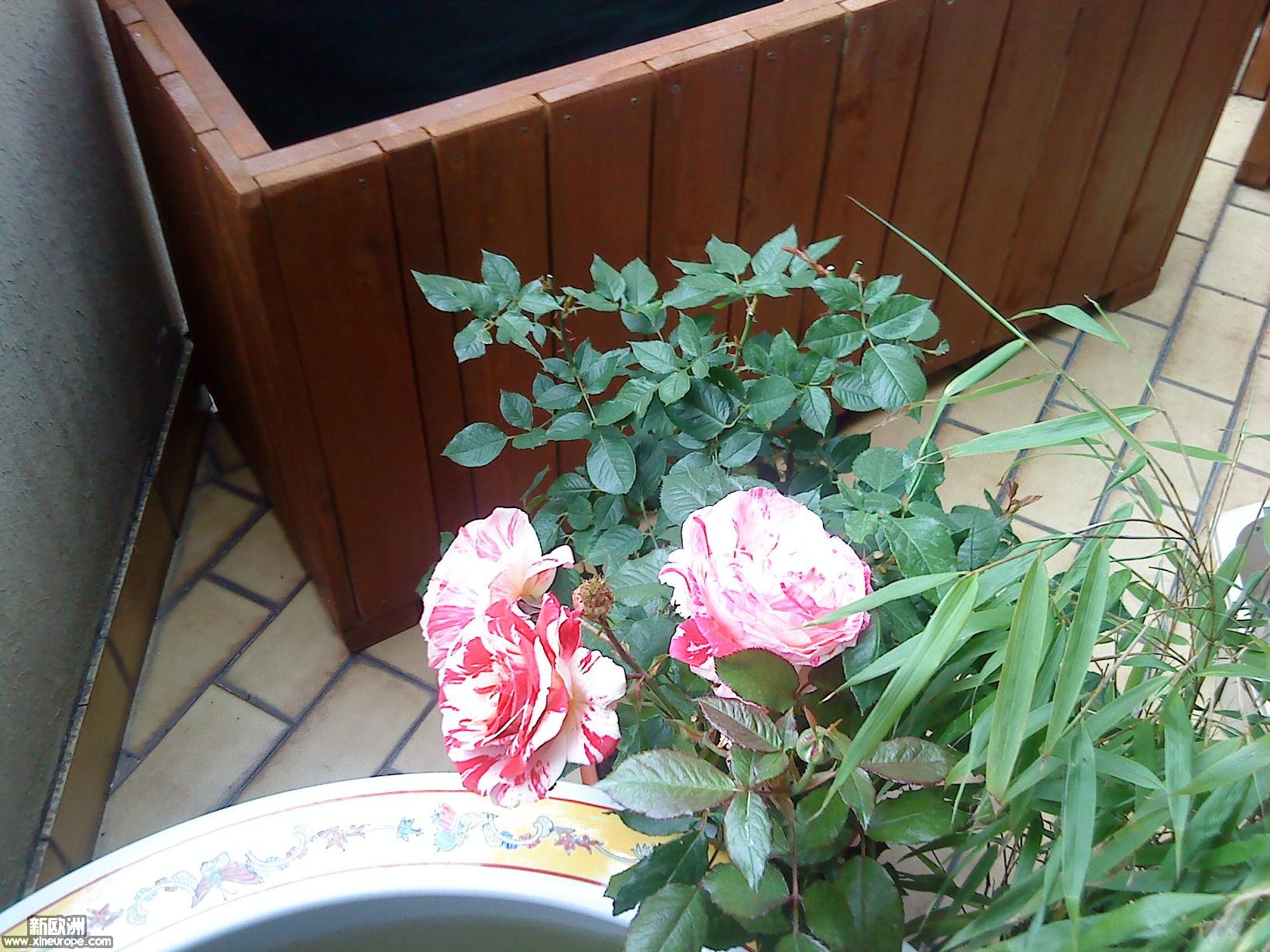DSC00070.JPG
