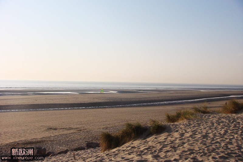 DSC02370p.jpg