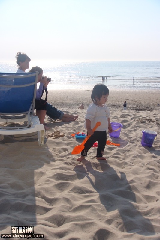 DSC02393p.jpg