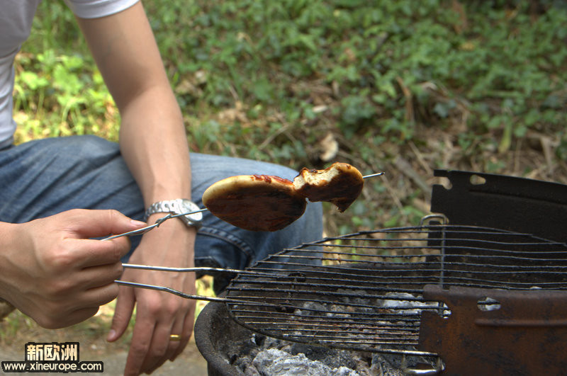 烤饼