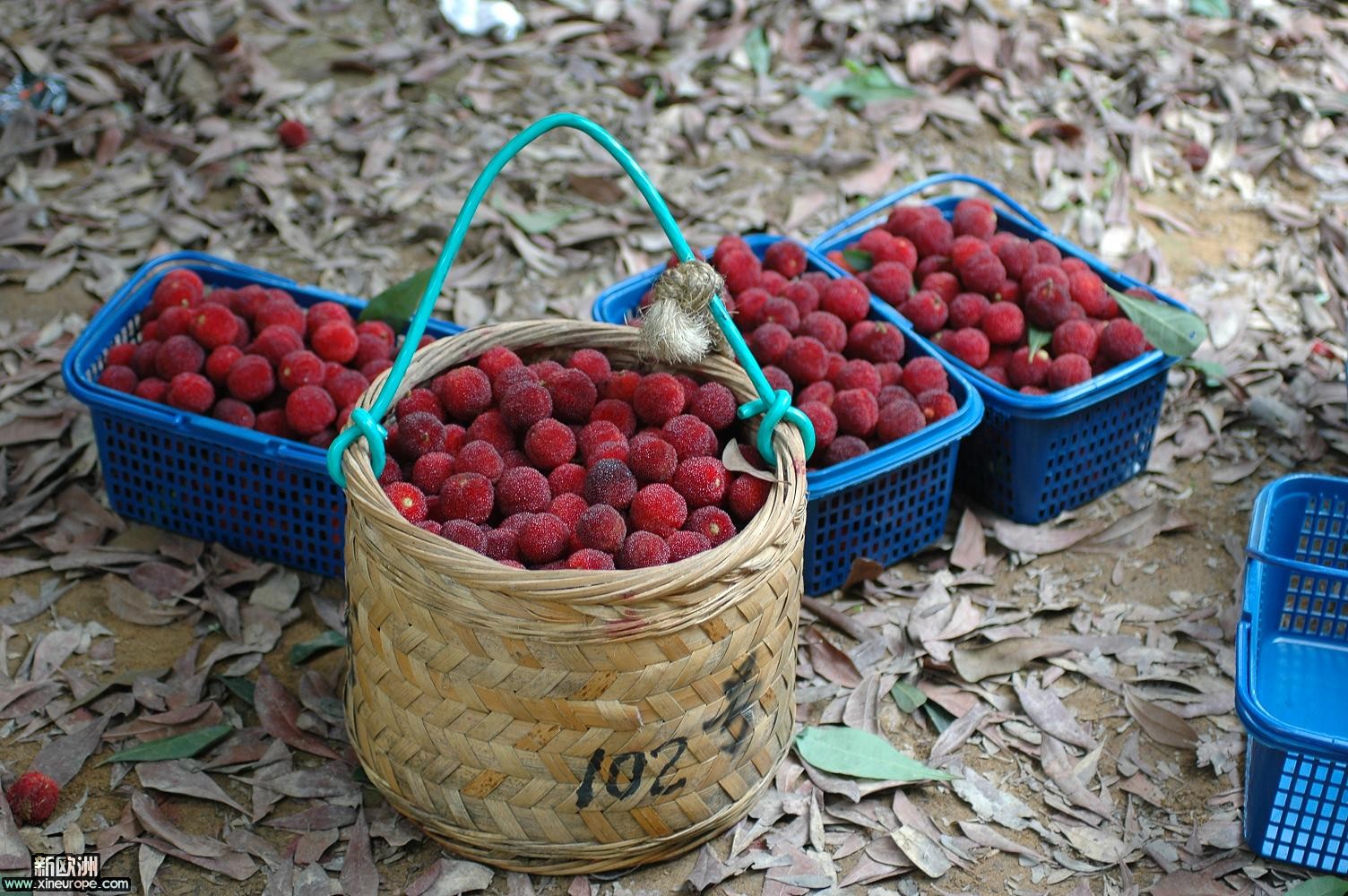 DSC_5892.jpg