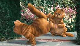 6628711bgw6dfhaesggamg.gif