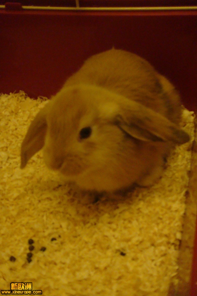 DSC02473.JPG