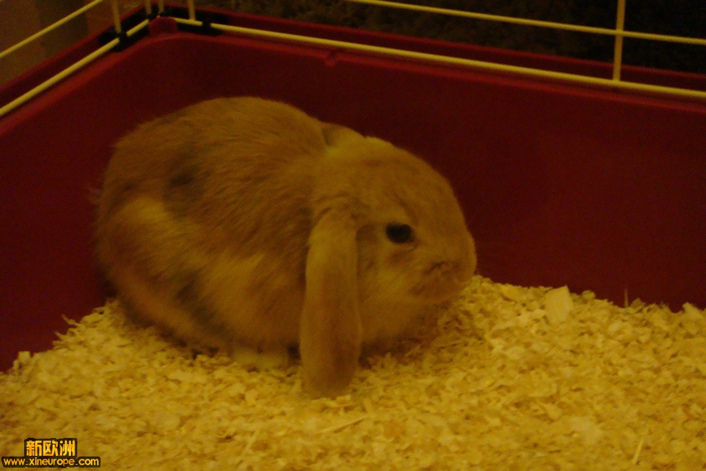 DSC02475.JPG
