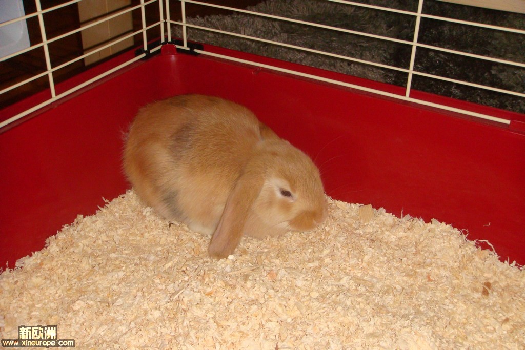 DSC02477.JPG