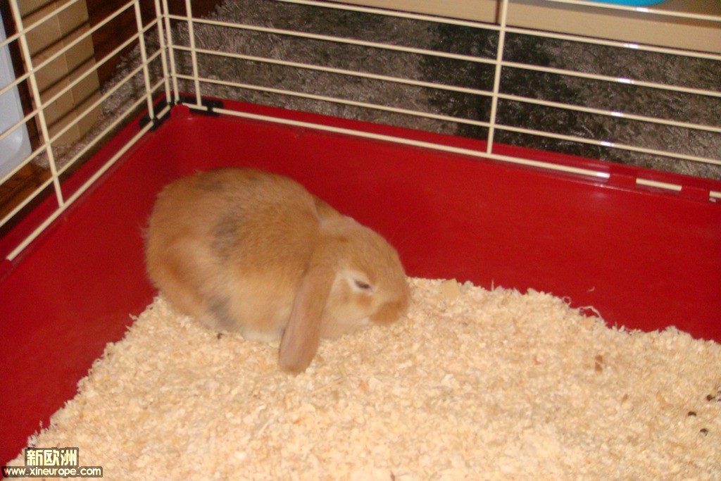 DSC02478.JPG