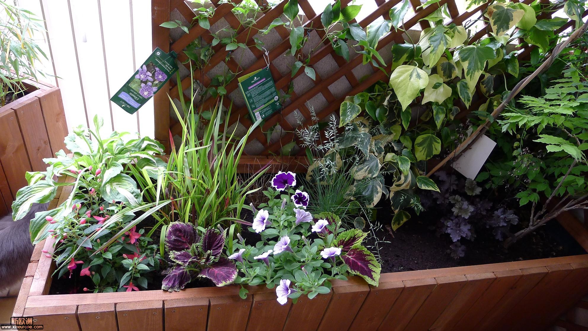 P1000007.jpg