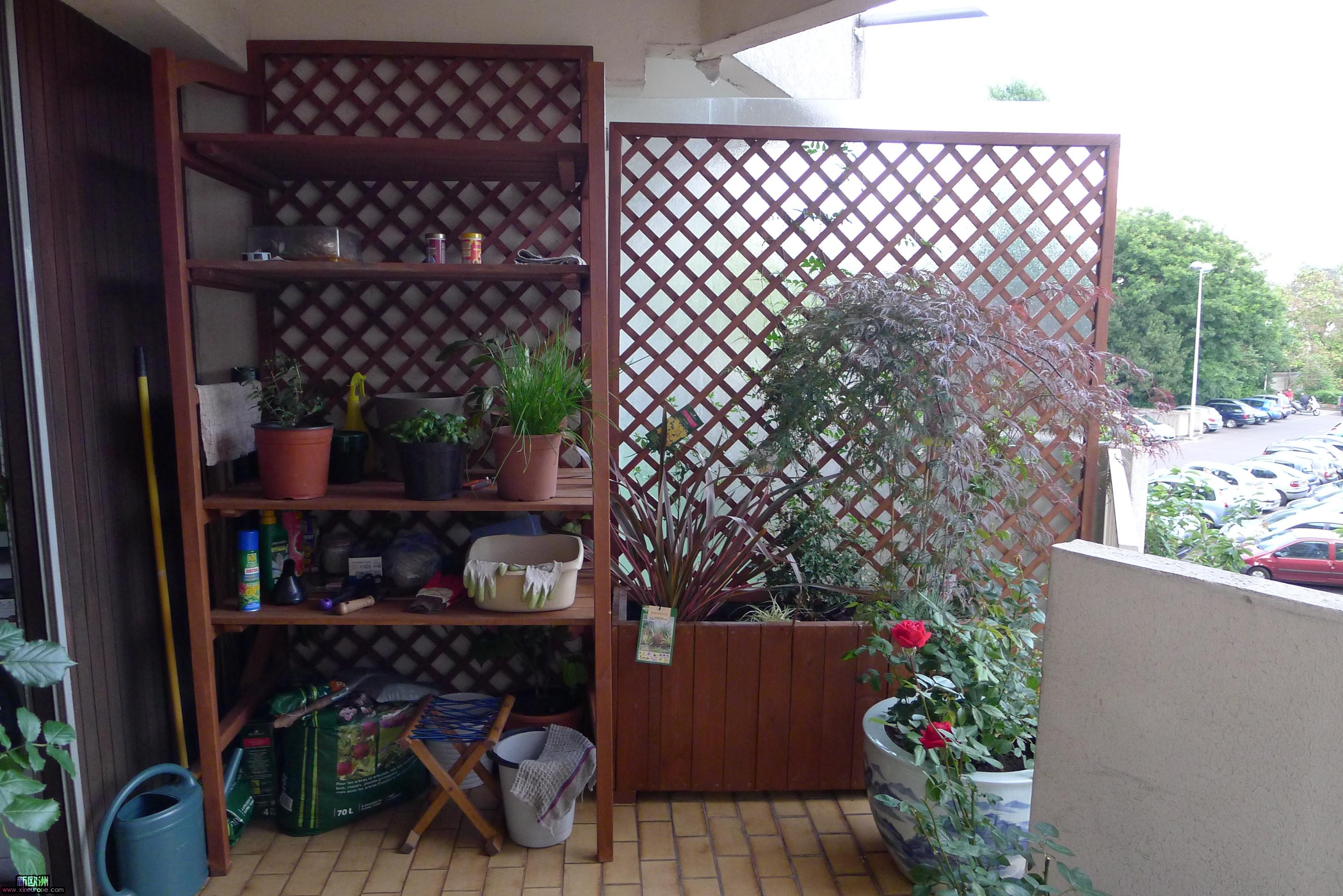 P1000081.JPG