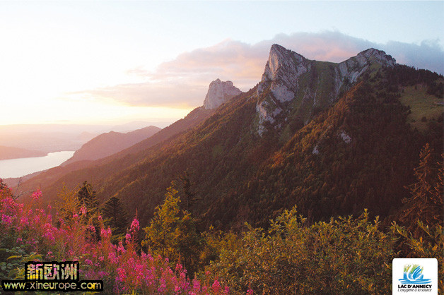 small_montagnes_fleurs_lac_annecy.jpg