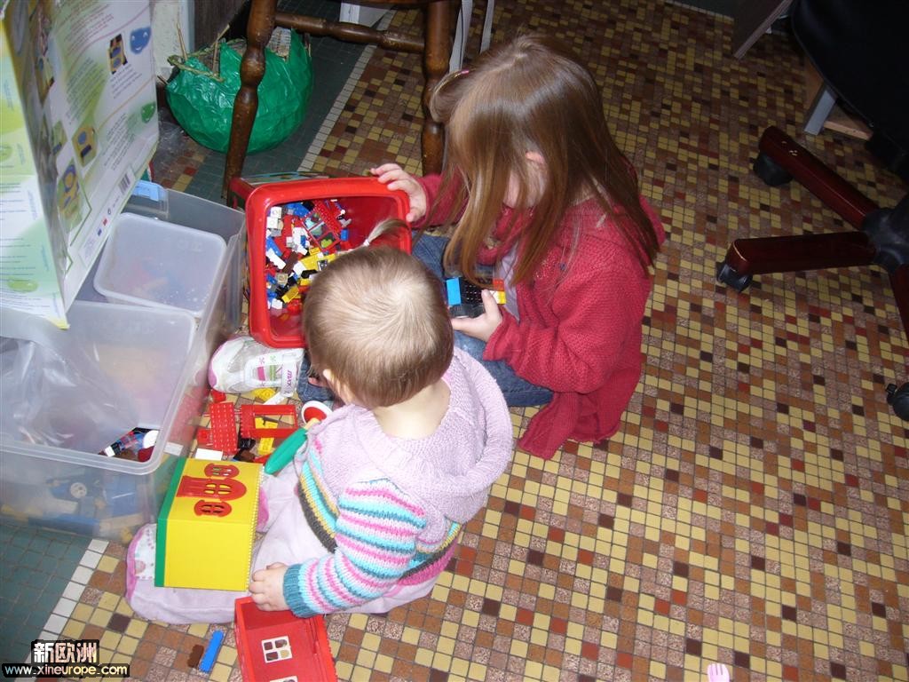 P1090059 (Large).JPG