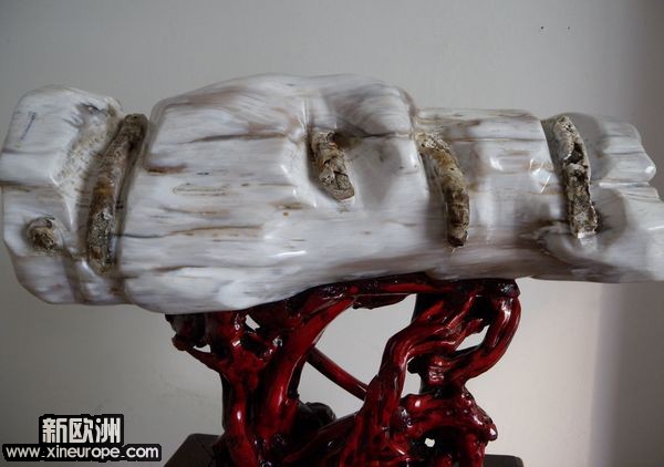 http://www.rlcjb.com/Shop/Index.asp?page=6 借人家网站出售玉虫的照片.