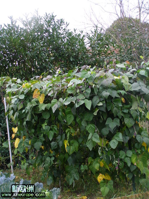 PA090157.JPG