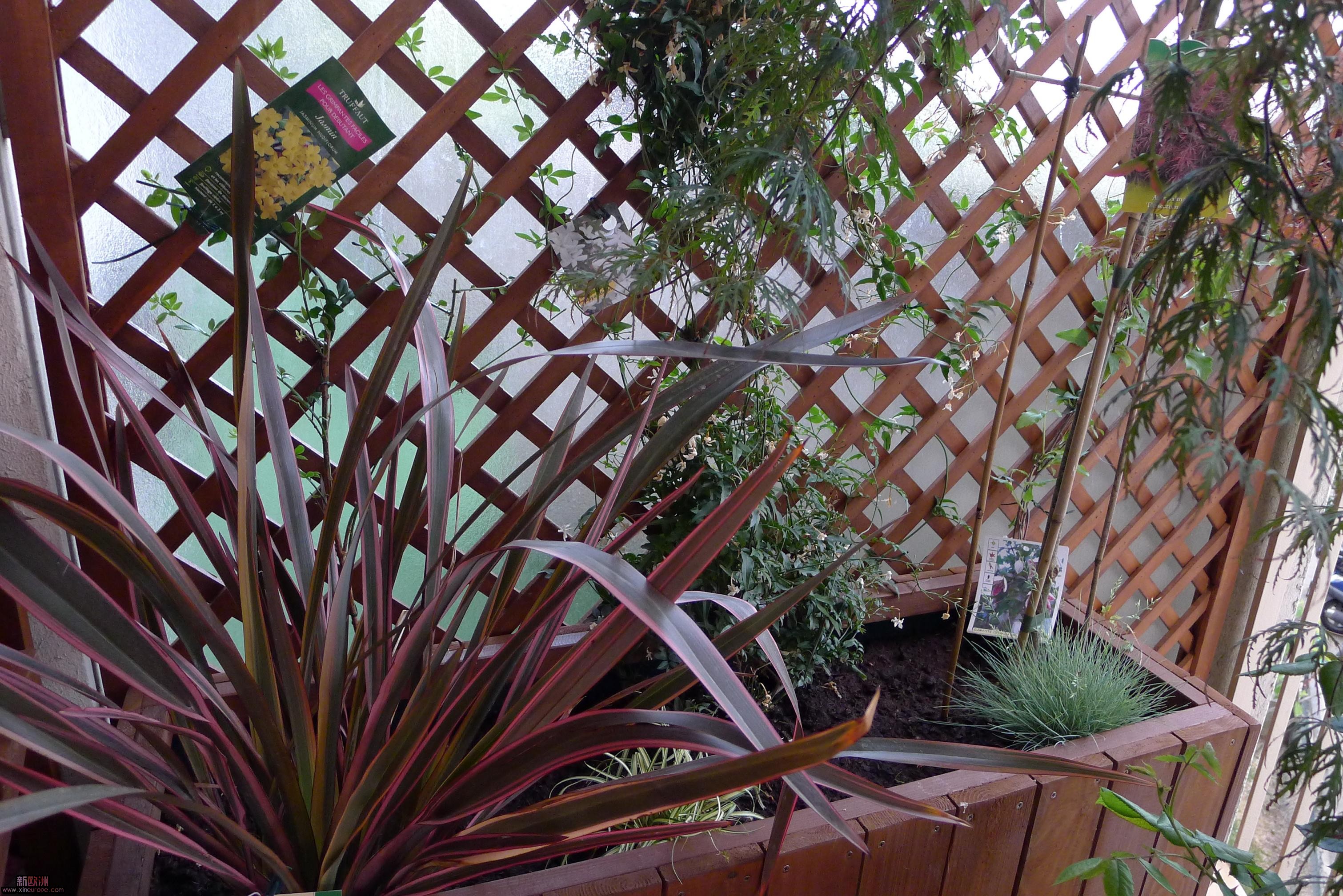 P1000079.JPG